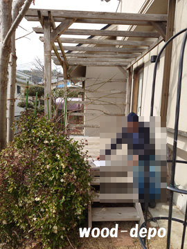 �E�b�h�f�b�L�{�H��241a